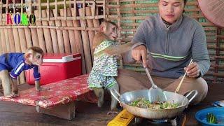 Clever Monkey KOKO Helping Mom Cooking Fri - Noodles With Vegetable