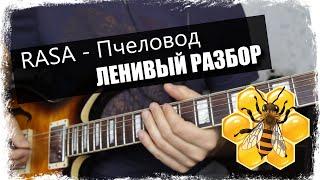 RASA - Пчеловод / Урок на гитаре / Аккорды без соплей / Ленивый разбор