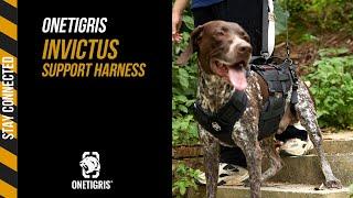 OneTigrisK9 INVICTUS Support Harness | Multifunctional Mobility Assistance Rear Leg Support Straps