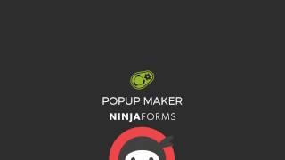 Set Form Submit Cookies Superfast with Popup Maker and Ninja Forms