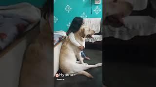 Cute girl hugs dog