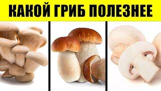 97% людей не знают этого о съедобных грибах