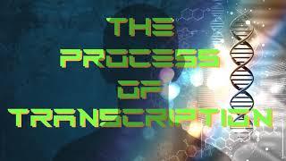 DNA TRANSCRIPTION PT G10_ Process of Transcription