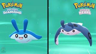 How to Find Mantyke & Evolve Into Mantine in Pokemon Brilliant Diamond & Shining Pearl