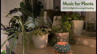 Music for Plants 432 Hz Frequency for Growing Healthy Plants during the Night