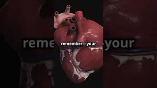 Amazing Facts About the Human Heart | How It Keeps You Alive