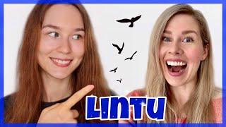 Finnish Word of the Week: Lintu  ft. Her Finland #9