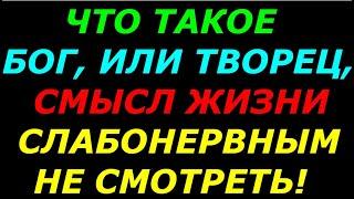 Для чего живёт сам бог Ч 2(2)  Неординарный  ответ уфолога!