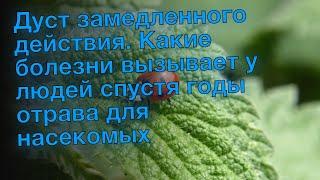 Дуст замедленного действия. Какие болезни вызывает у людей спустя годы отрава для насекомых