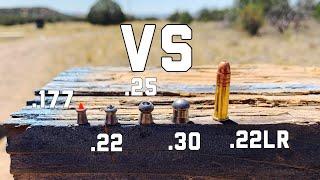 22LR VS .177, .22, .25, and .30 CAL AIRGUNS | 22LR Vs Air Rifle POWER TEST