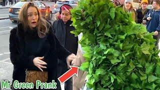 THE BUSHMAN PRANK REACTIONS YOU DIDN'T SEE | MR GREEN PRANK