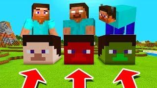 Minecraft PE : DO NOT CHOOSE THE WRONG STEVE HEAD! (Steve, Herobrine & Steve Cow)