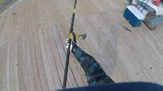 Most embarrassing fishing moment packed pier. How to look bad casting Avet reel.