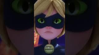 CHAT NOIR IN S5  // Bananoir