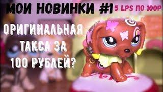 LPS / Мои новинки #1 / оригинальная такса за 100 рублей