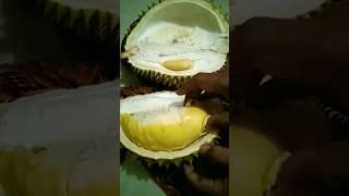 DAGING DURIAN SUPER TEBAL#short #shorts #shortsviral #videoshortsviral #viral