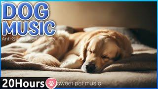 Tiefschlafmusik für Hunde Beruhigende Musik gegen Trennungsangst Beruhigende Musik für Hunde