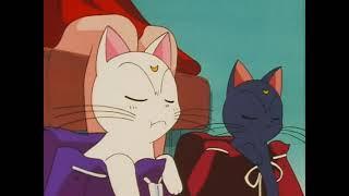 Sailor Moon  - Feeding the Cats