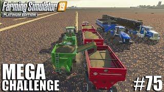 Making Hay Pellets | MEGA Equipment Challenge 2.0 | Farming Simulator 19 | #75