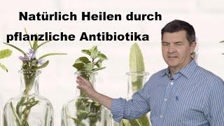 Natürlich heilen - pflanzliche Antibiotika - Aromatogramm