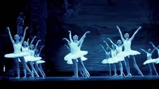 "Лебединое озеро". Кремлёвский балет. "Swan lake". Kremlin ballet.