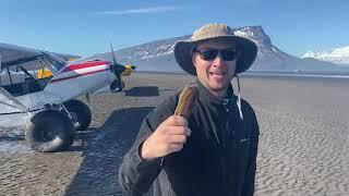 S21Ep14: Razor Clams at Polly Creek Alaska