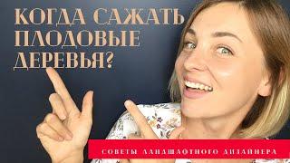 Когда сажать плодовые деревья – весной или осенью?