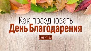 Как праздновать День Благодарения (Алексей Коломийцев)