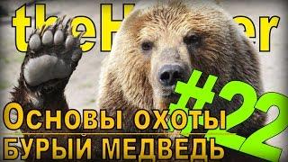 the Hunter - Бурый медведь [Основы охоты] #22