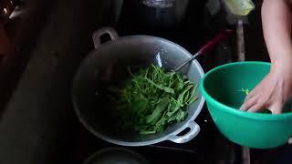 Masak Tumis KangKung