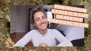 My Postpartum Cycle || A Lot of Fertile Cervical Fluid