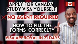 How To Apply For Canada Student Visa Online | Canada Student Permit Application (STEP  BY STEP) 2024