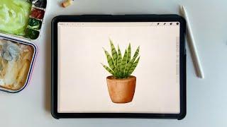 Paint a Watercolor Snake Plant in Procreate | Procreate Watercolor Brush Set