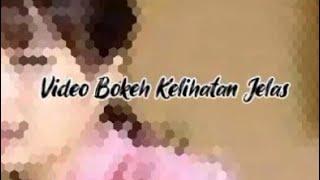 video bokeh blur merekam keindahan bunga siang hari - bokeh no blur cuma rekam pake android vivo