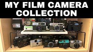 My Film Camera Collection: Second Shelf