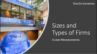 Sizes and Types of Firms I A Level and IB Economics