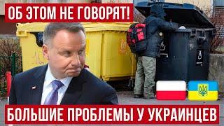 Большие проблемы! Украинцы в Польше – преступления и бездомные! Польша новости