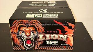 Lion : China Red : 100 Shots : 1908 Gram : 30mm : Vuurwerk Demo