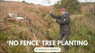 'No Fence' Tree Planting: an Option for Grazed Areas