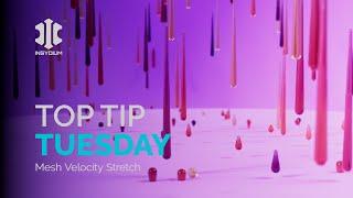 Top Tip Tuesday - Mesh Velocity Stretch