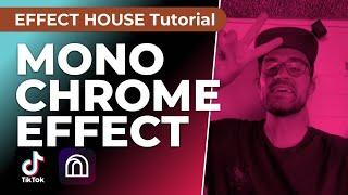 Monochrome Filter | Effect House Tutorial - Create Your Own TikTok Filter