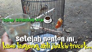 Cara Menjinakan trucukan giras dengan santai,mudah,efekti cepat ropel