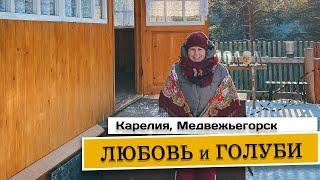 Где снимался фильм «Любовь и голуби»? #карелия #медвежьегорск