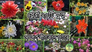 শীতকালের সেরা ২০টি ফুল ( সহজেই হবে ) / 20 easy and best Winter flowers