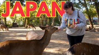 Don’t Miss This In Japan: 48 Amazing Hours In Kyoto & Nara!