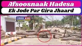 Afso○snaak wakiya : Hyderabad k ek jode par gira darakt | shama news