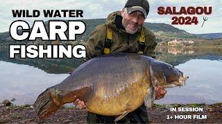 Wild water CARP FISHING - Salagou 2024