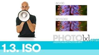 1.3. ISO explained - learn about ISO in less than 3 minutes - photo 1x1 the free photography course