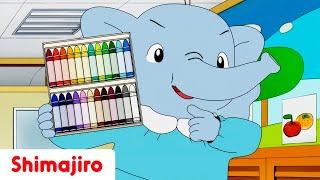 ️ Rainbow Crayons |  Back to School Special Compilation | Shimajiro 