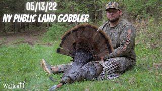 New York Public Land Turkey Hunt. (Multiple shots fire)